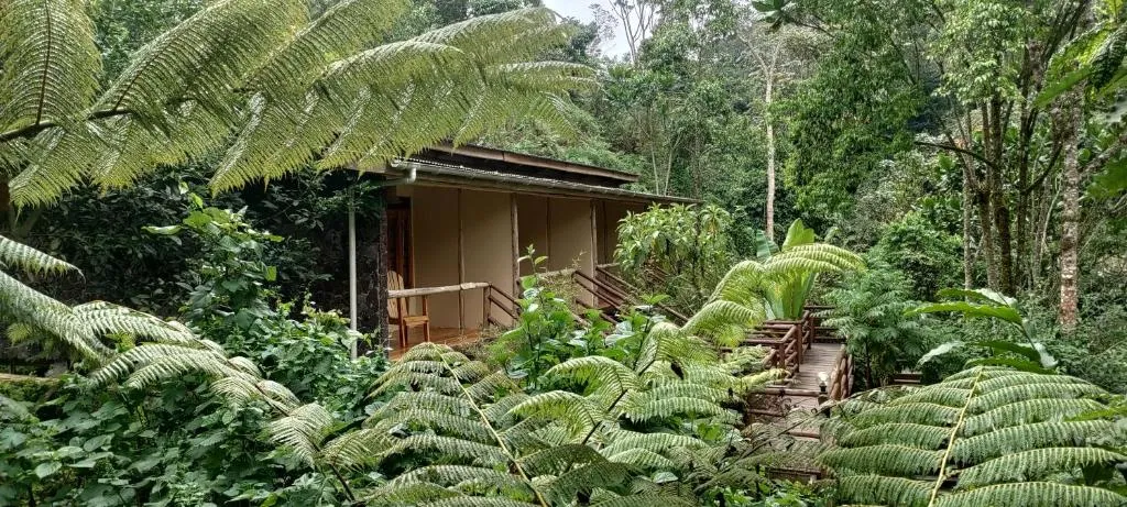 Nshongi Camp, hotel in Rubuguli
