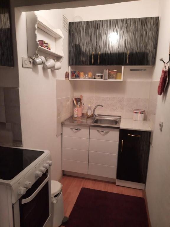 Apartment Sofija Savski - 2