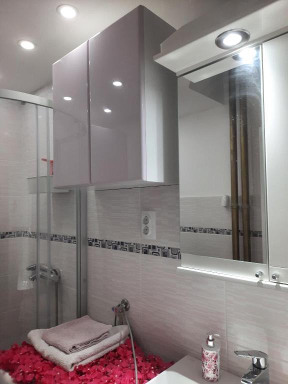 Apartment Sofija Savski - 4