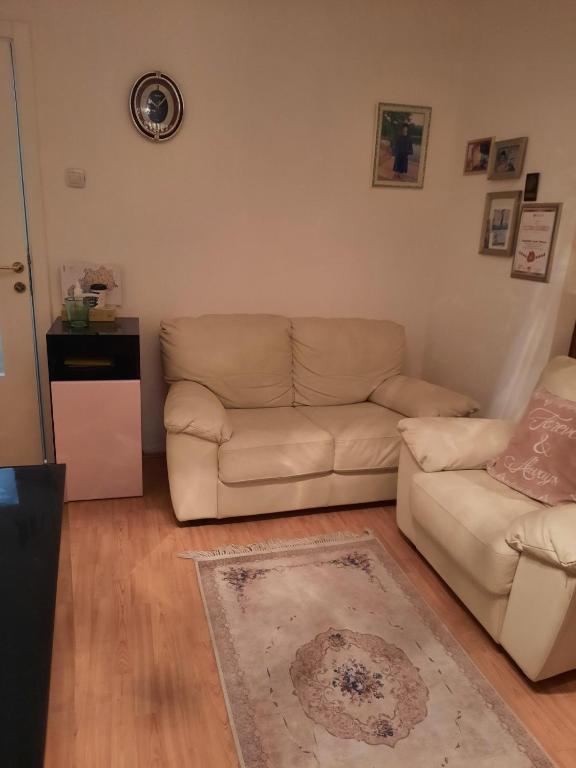 Apartment Sofija Savski - 5