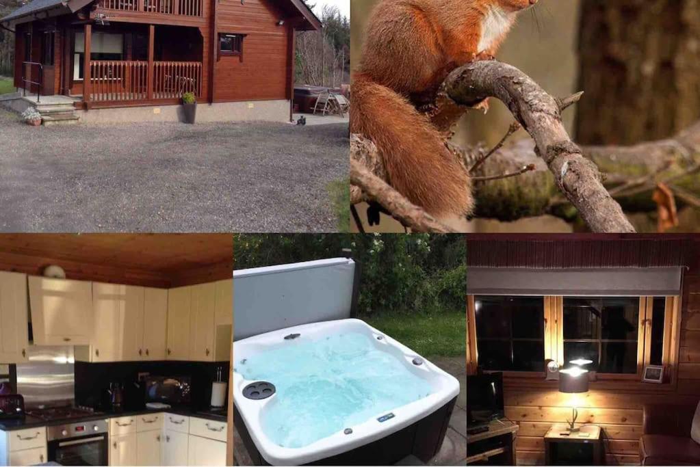 Red Squirrel log cabin with hot tub, Keith