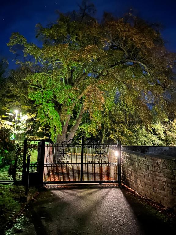 Hedgefield House Hotel photo
