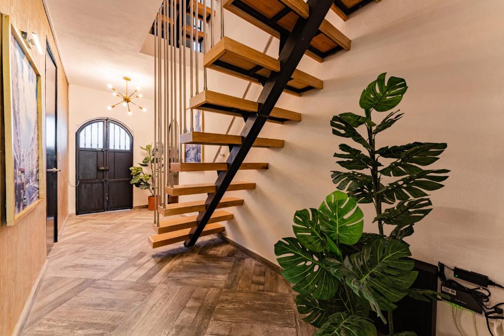 Casa Zamora by VH - 4