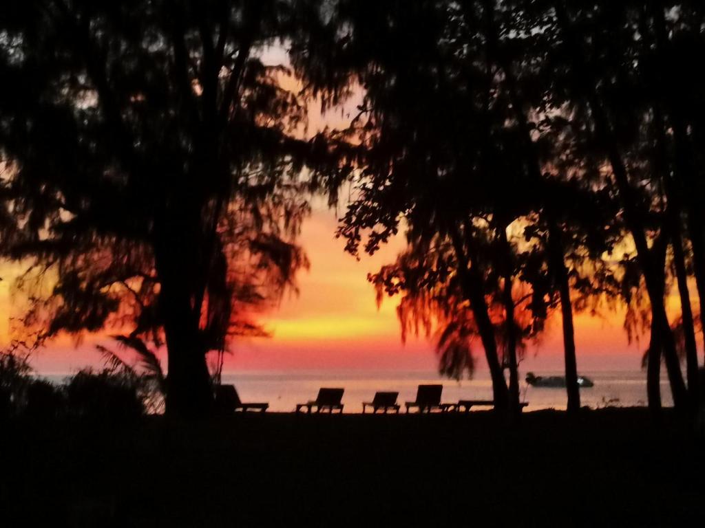 Surrounding environment