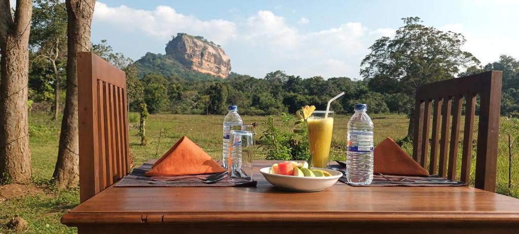 Sigiri Close-up View Guest, Sigiriya