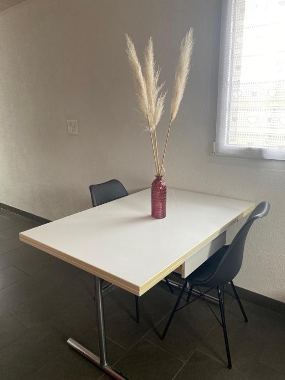 Chez nous - 5
