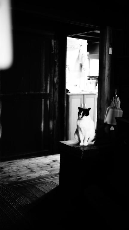 Noka Minshuku Sanzen photo