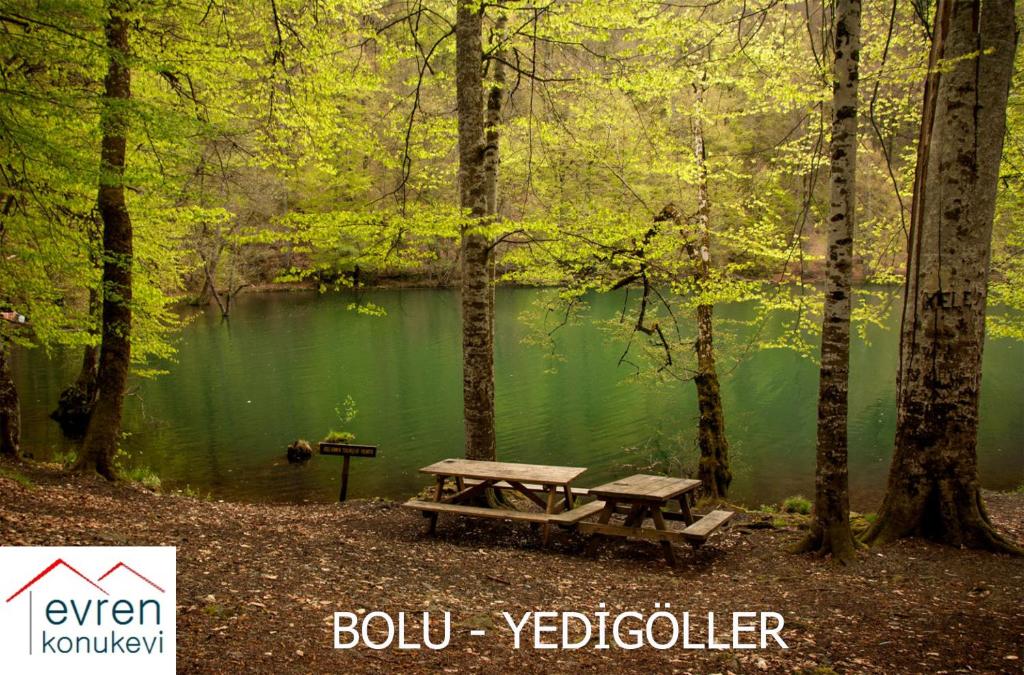 Sports and activities