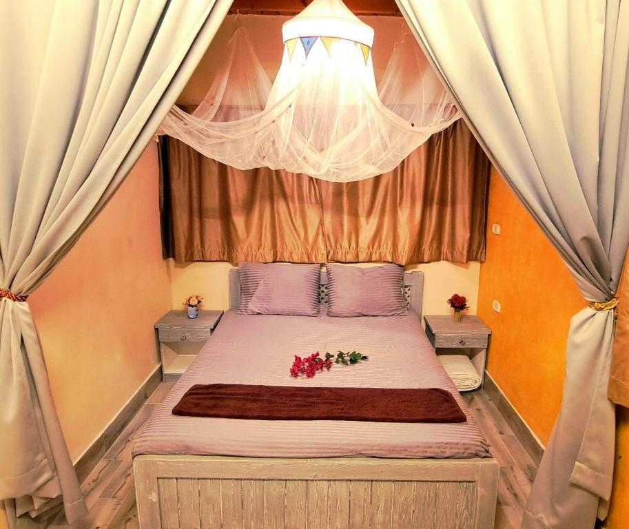 Surfers-Lounge-Dahab Lagoon with Swimming-Pool - Breakfast - Garden - Beduintent - BBQ - Jacuzzi photo