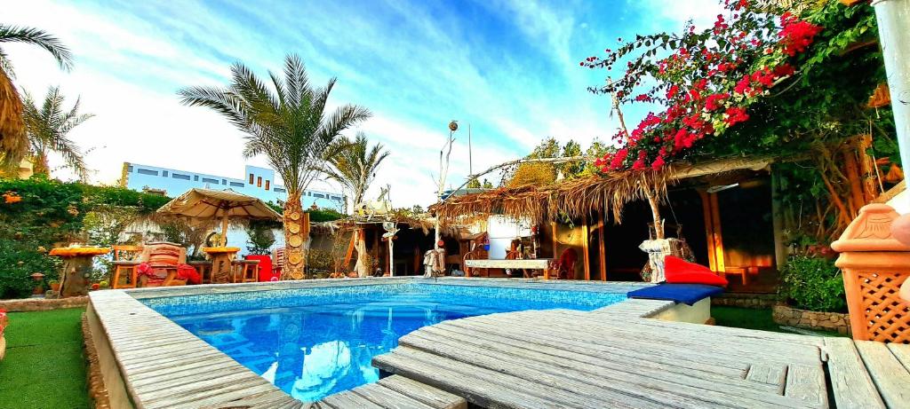 Surfers-Lounge-Dahab Lagoon with Swimming-Pool - Breakfast - Garden - Beduintent - BBQ - Jacuzzi photo