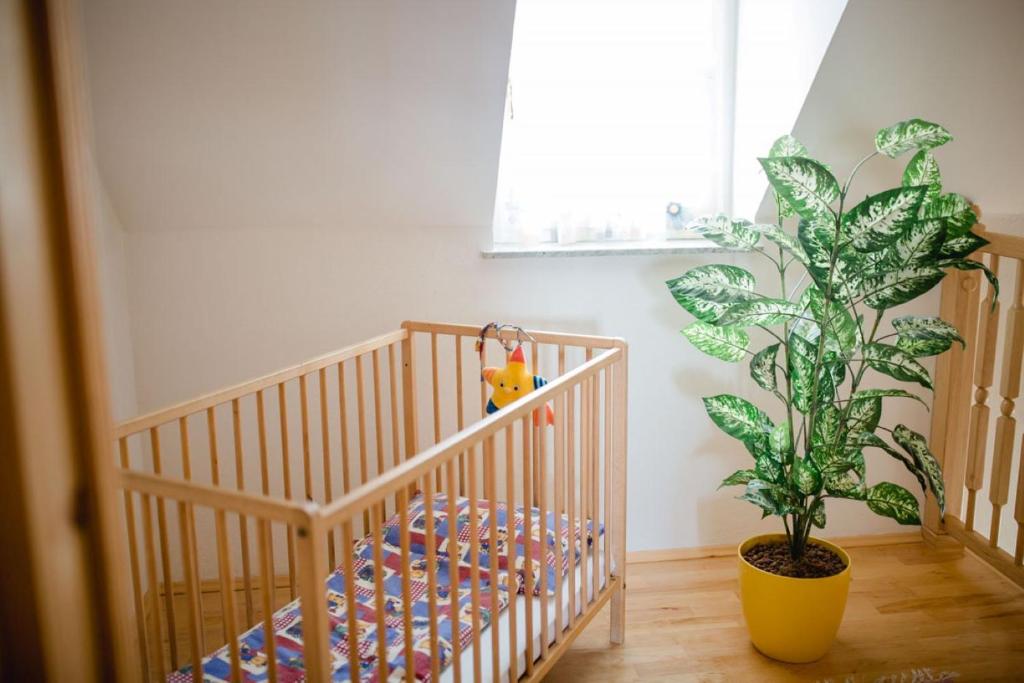 Ferienwohnung Stiegelbauer Zirbe - 5