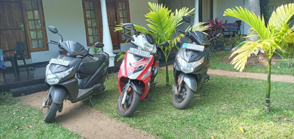 Shen Residence photo