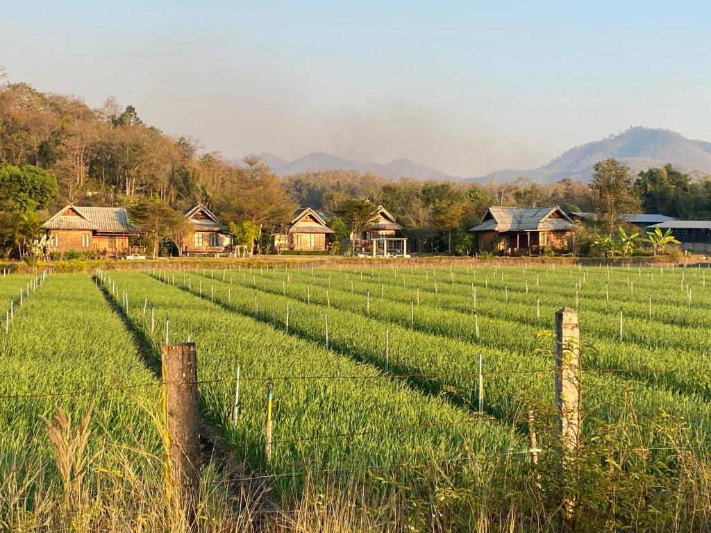 Surrounding environment