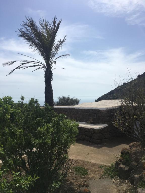 Dammusi IL SERRALH -Pantelleria- - 2