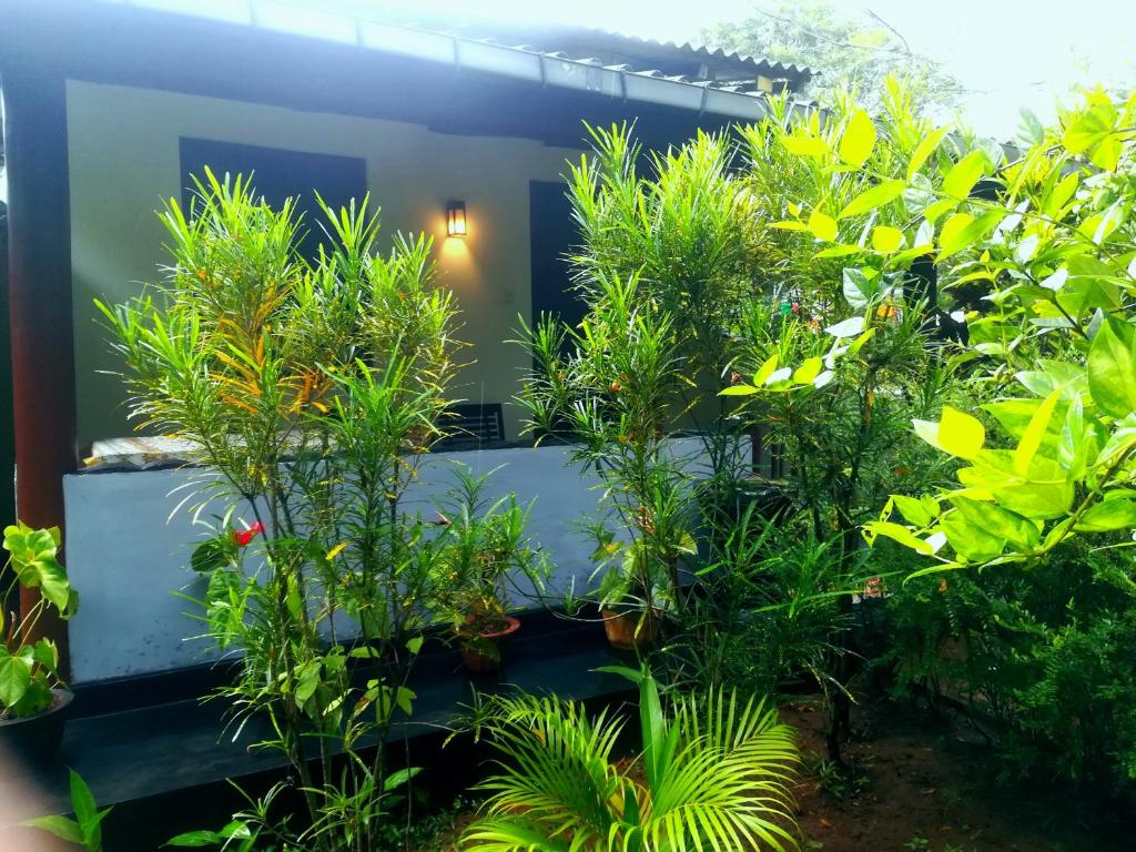Lakmal Homestay - Sigiriya — Hotel in Sigiriya