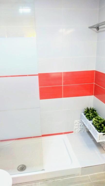 El Rincón del Mercado - 4