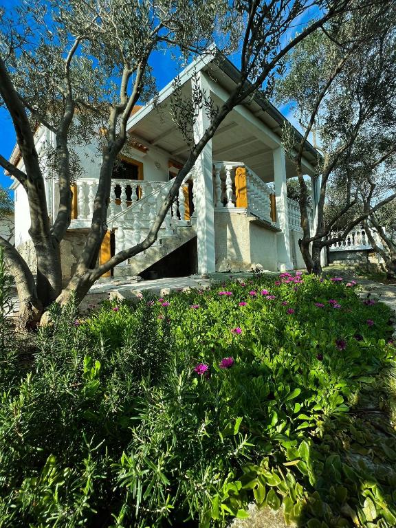 Apartment Eva - Molat — Hotel in Molat
