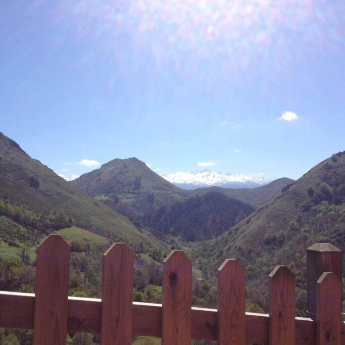 La cabaña de la granxa - 4