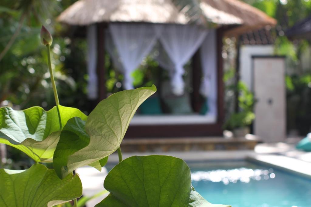 Villa Alu Lima photo