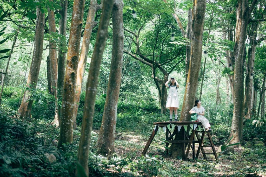 Surrounding environment