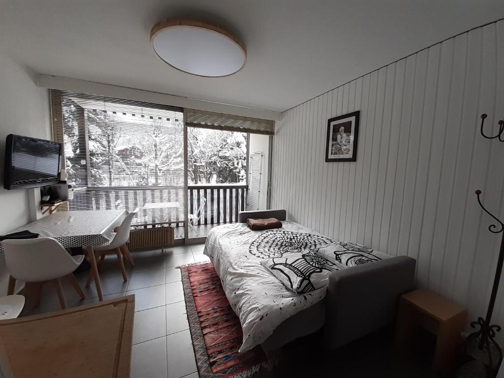 studio quartier calme centre ville vue mont Blanc photo