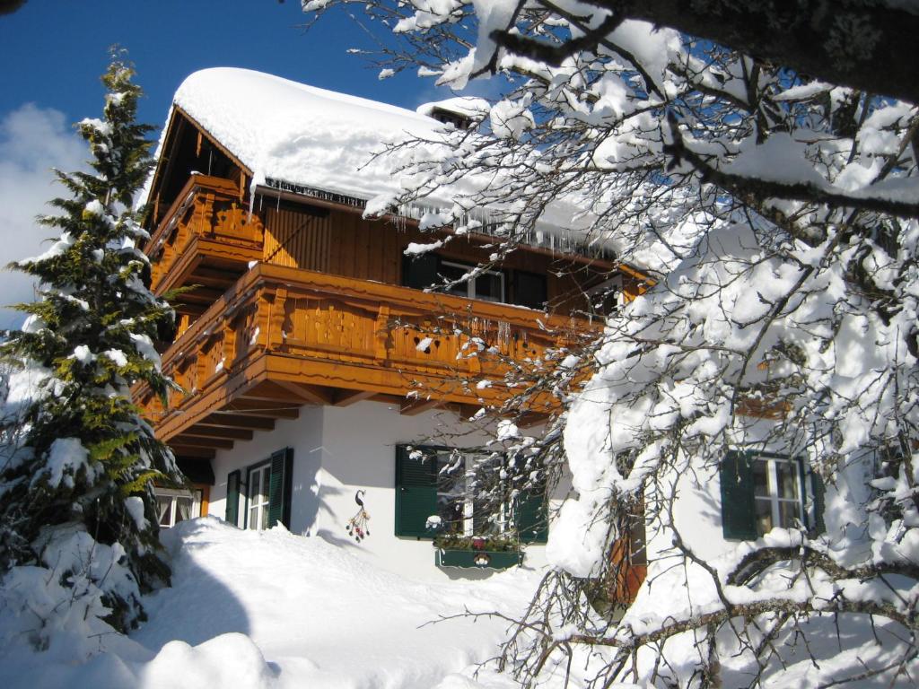 Haus Schrei - 4