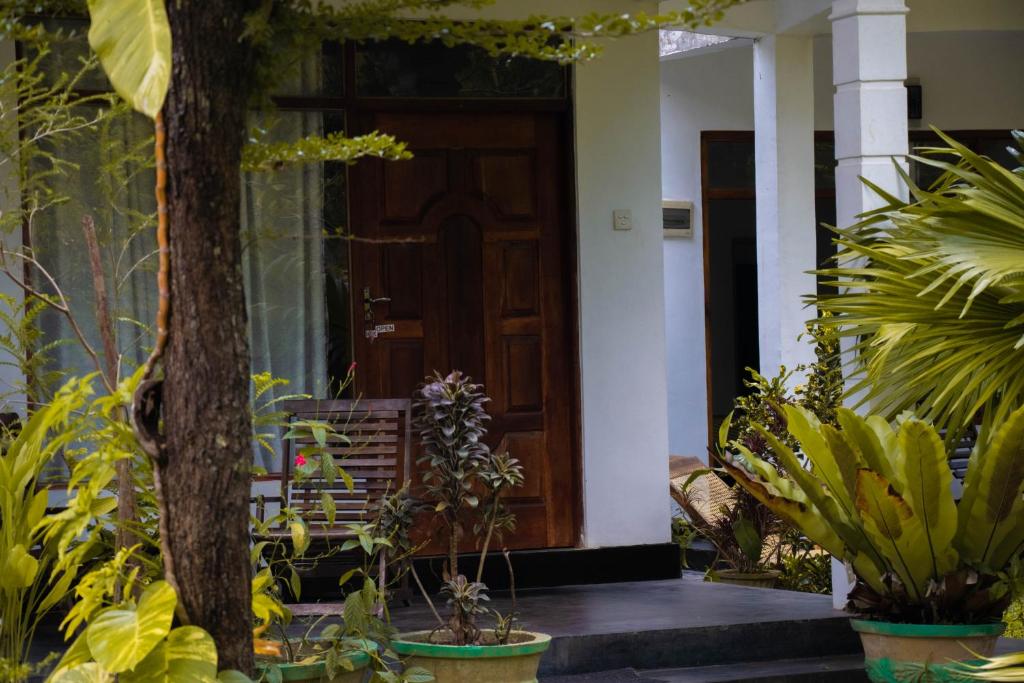 Freedom Home Stay photo
