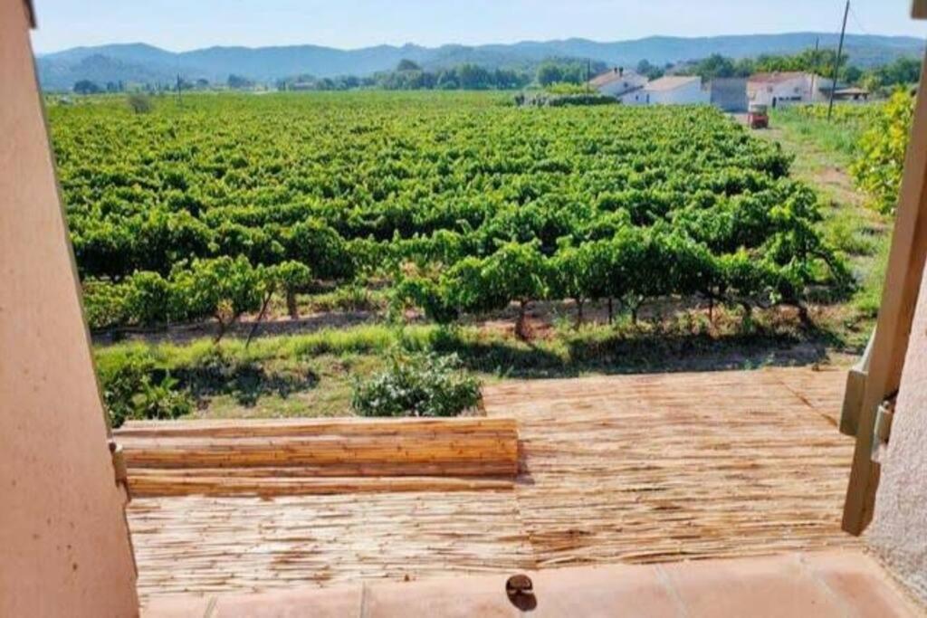 Joli cabanon en pierre au milieu des vignes LESCLESDENICOLE