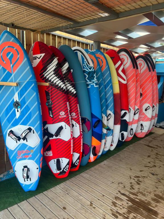 アクティビティ