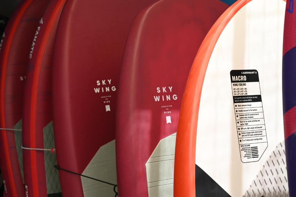 アクティビティ