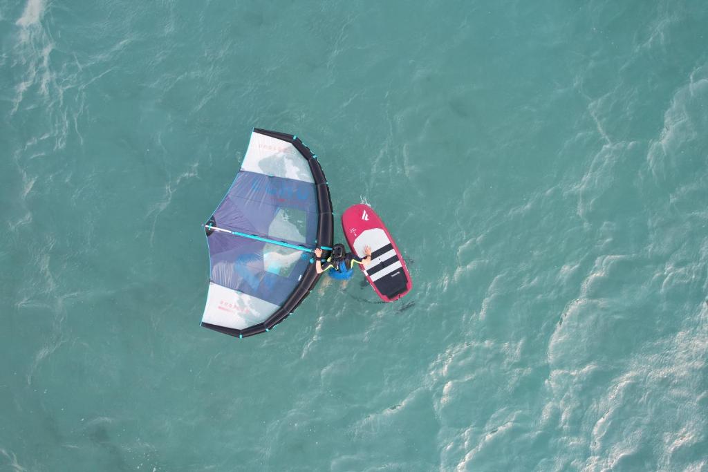 アクティビティ