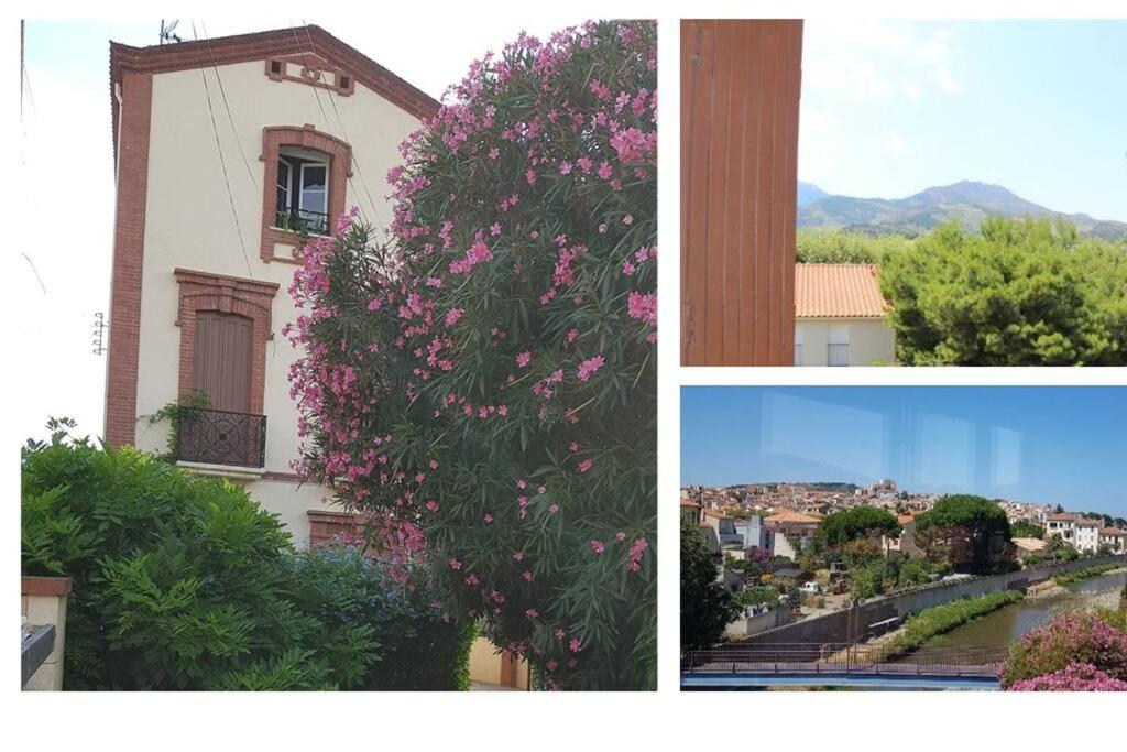Appartement 300 m plage et port - 1