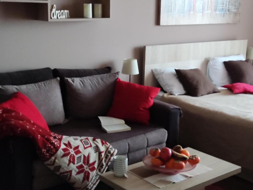 Apartman Sunset Milmari Kopaonik M10 - 5