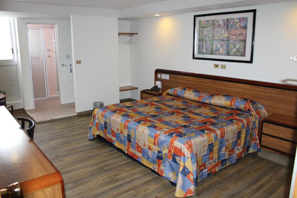 Hotel del Sur - 5