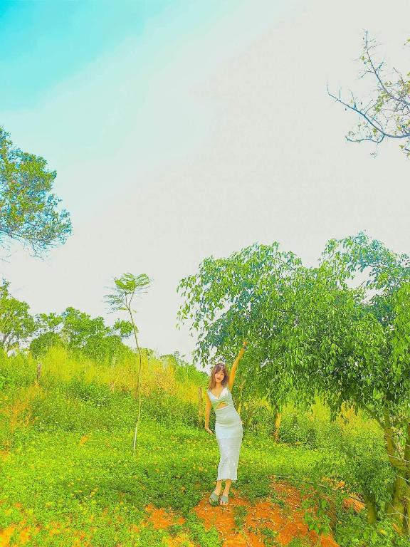 BobbyFarm photo