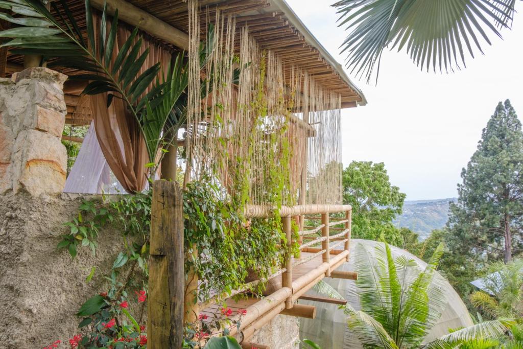 Cabaña privada en Cali, rodeado de naturaleza - 3