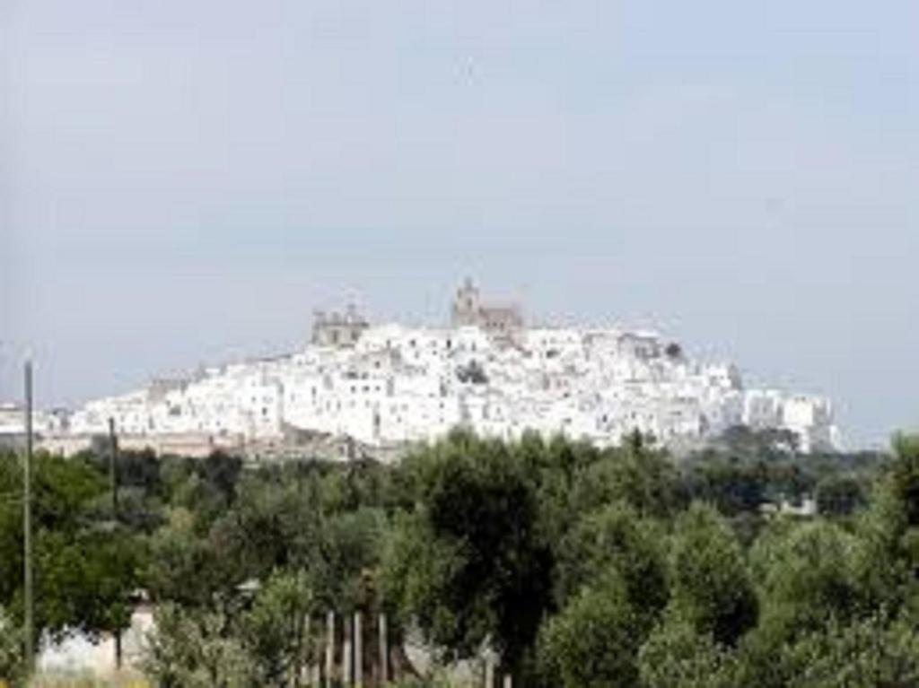 La Casodda photo