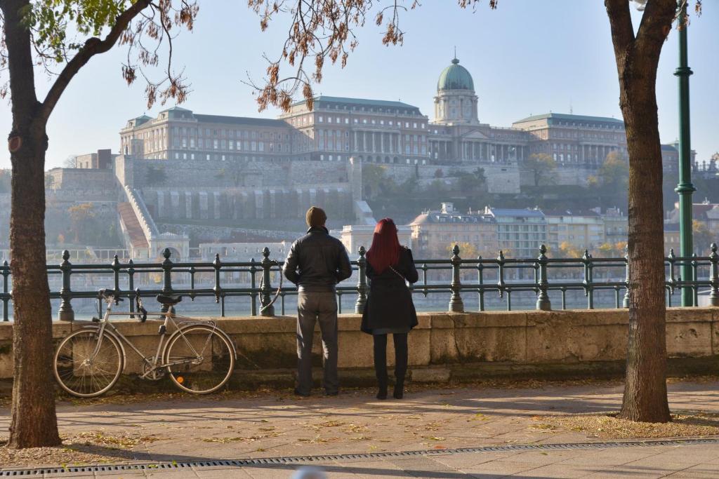 المنظر الخارجي
