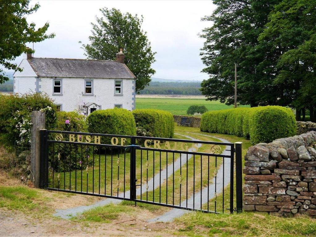 Bush of Craigs