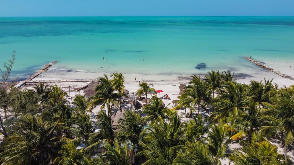 Zomay Beachfront Holbox - 5