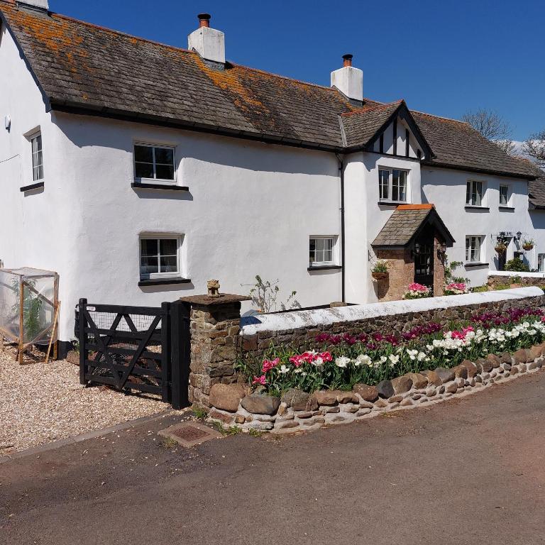 The Old Mill Cottage exterior — pet-friendly cottage in Exbourne