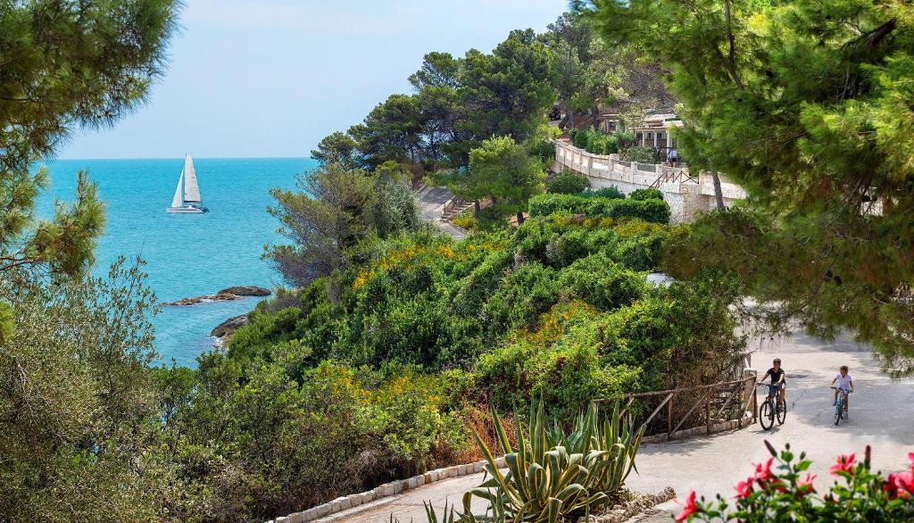 Gattarella Family Resort Puglia - Self catering accommodations in the pinewood - 2