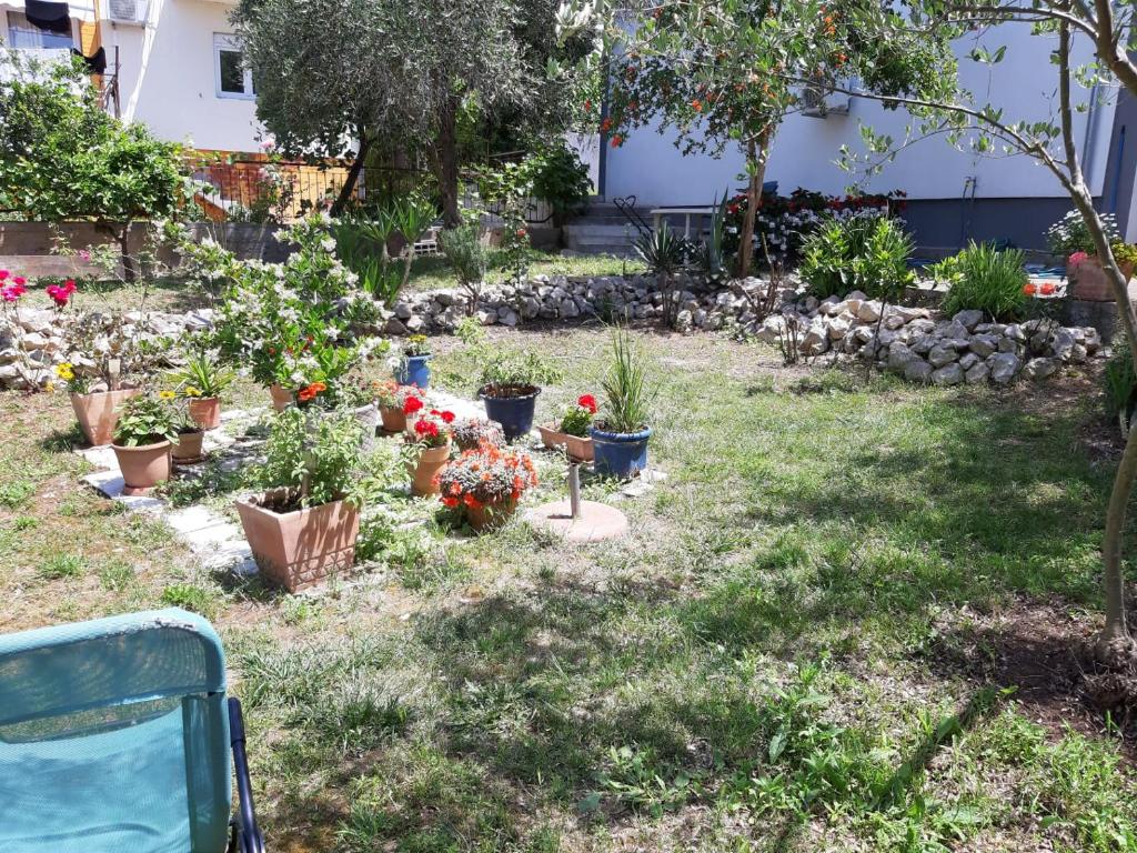 Apartman suzana sindija photo