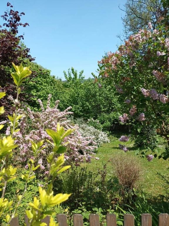 L'escale Arquaise, la maison au jardin fleuri à 5 min de dieppe 7 jours minimum, Arques-la-Bataille