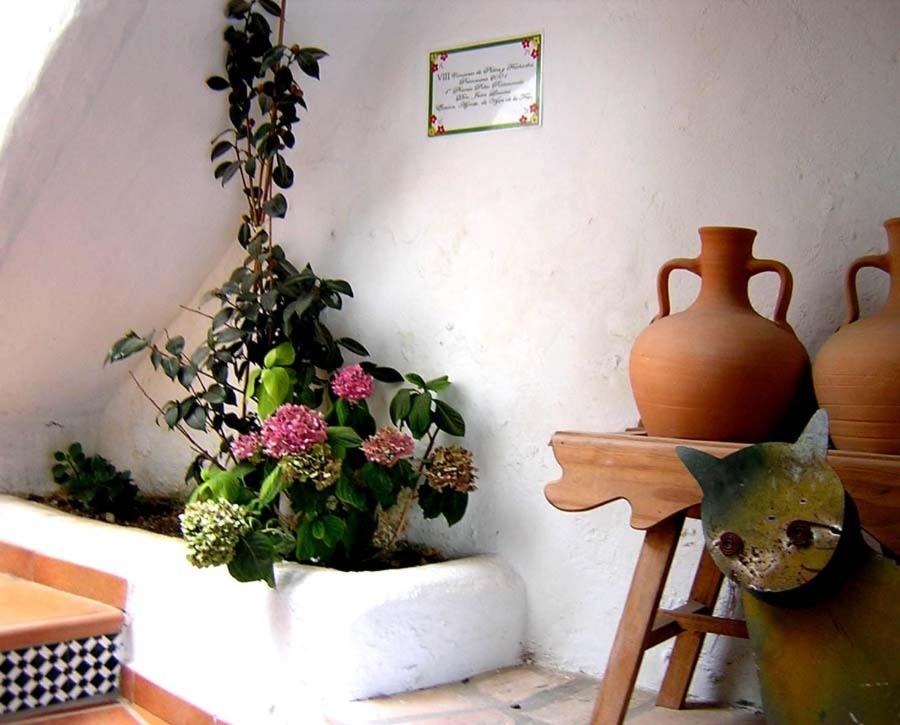 El Cobijo de Vejer photo
