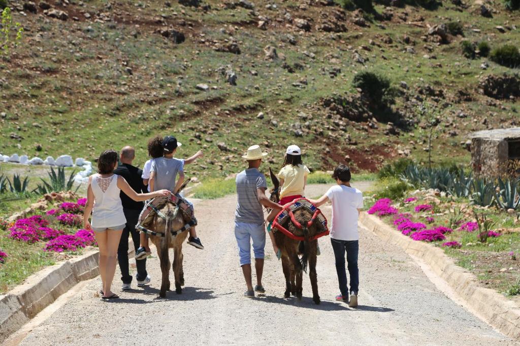 Sport og aktiviteter