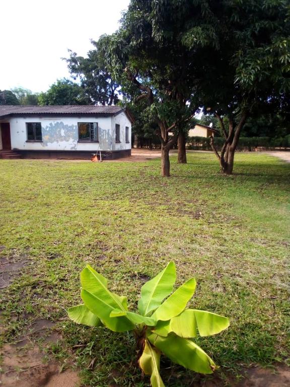 Olivia Jones Residence II - Livingstone Barrio, Livingstone