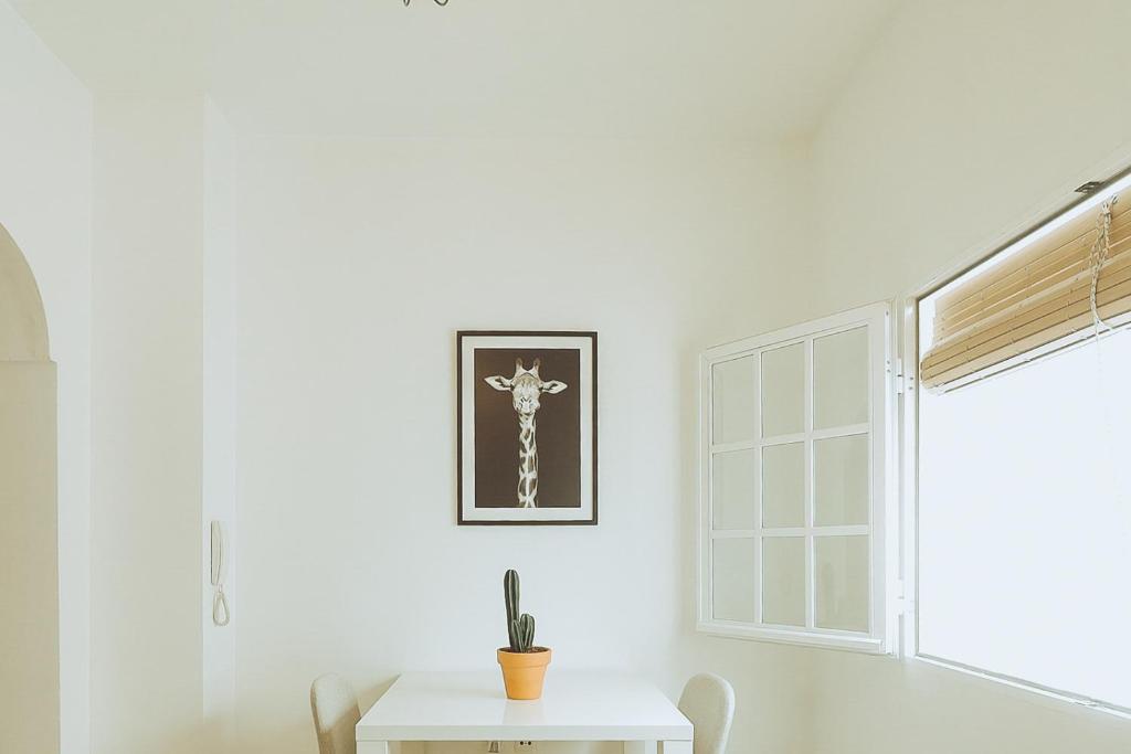 Apartamento en el centro Las Tiendas - 5