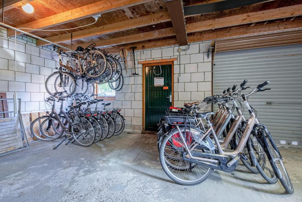 Sports and activities