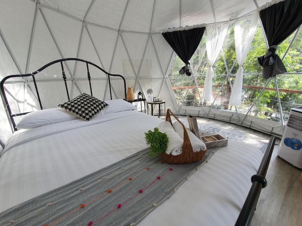 เดอะ ริเวอร์ แม่กำปอง เชียงใหม่ (The River Maekampong Chiang Mai)